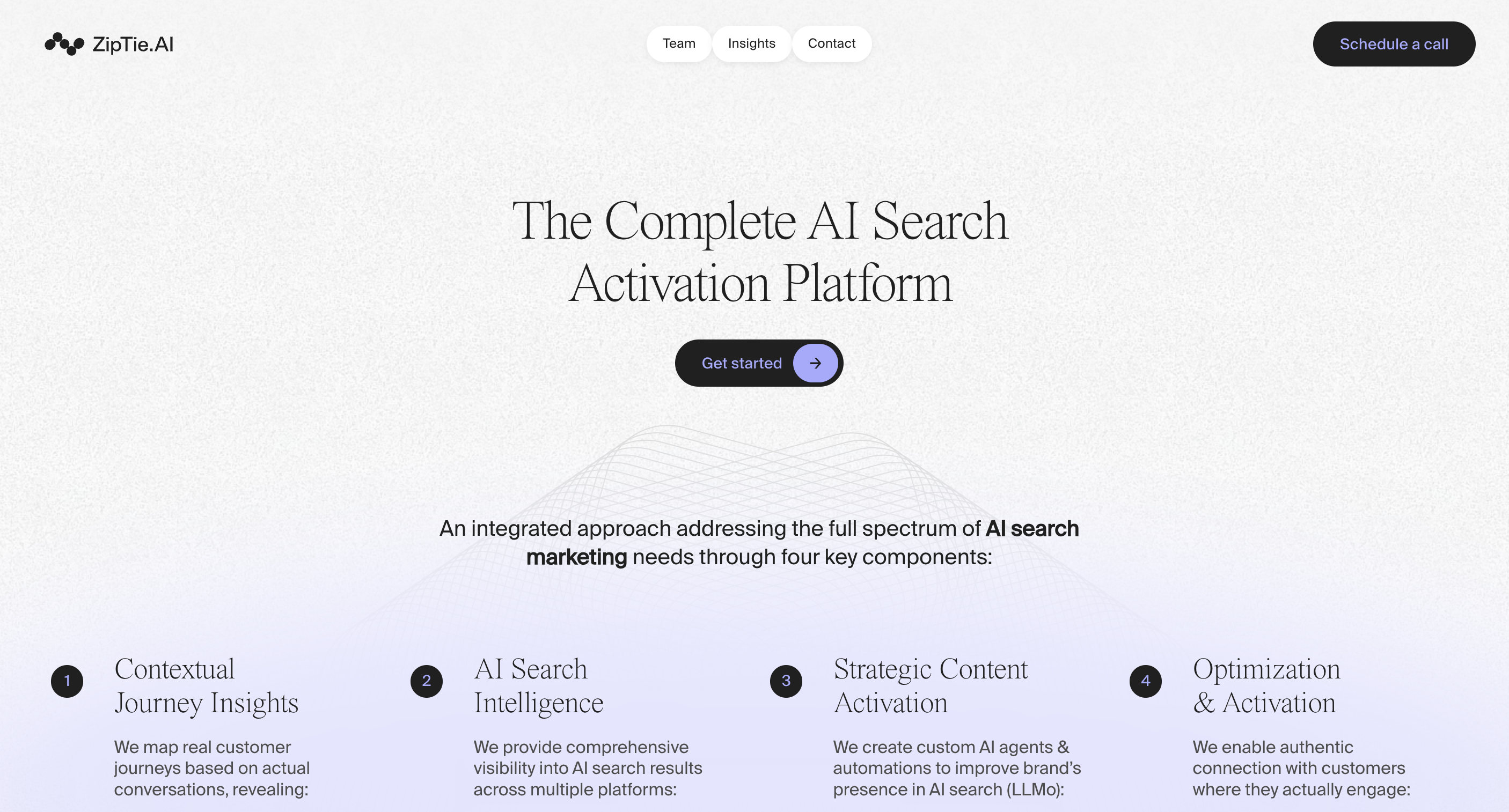 ZipTie AI dashboard showing AI Overview screenshot capture and content optimization